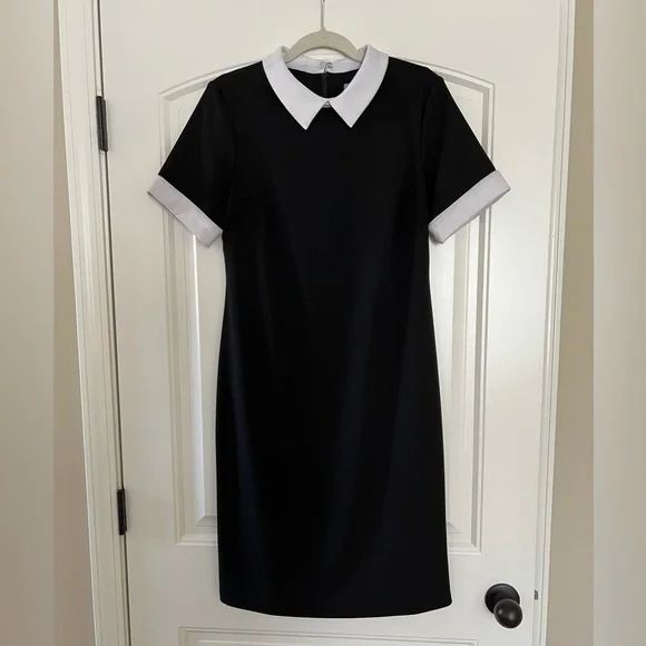 Shelby & Palmer | Dresses | Shelby Palmer Black Fitted Dress | Poshmark
